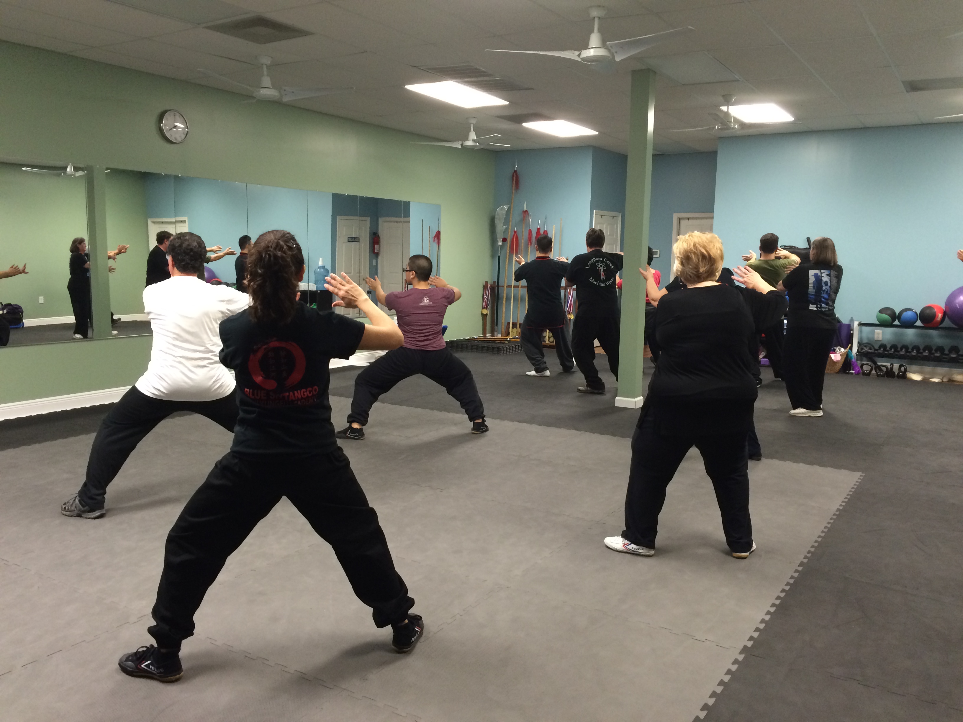 Adult Tai Chi Kungfu at Oriental Phoenix Arts in Cypress, TX