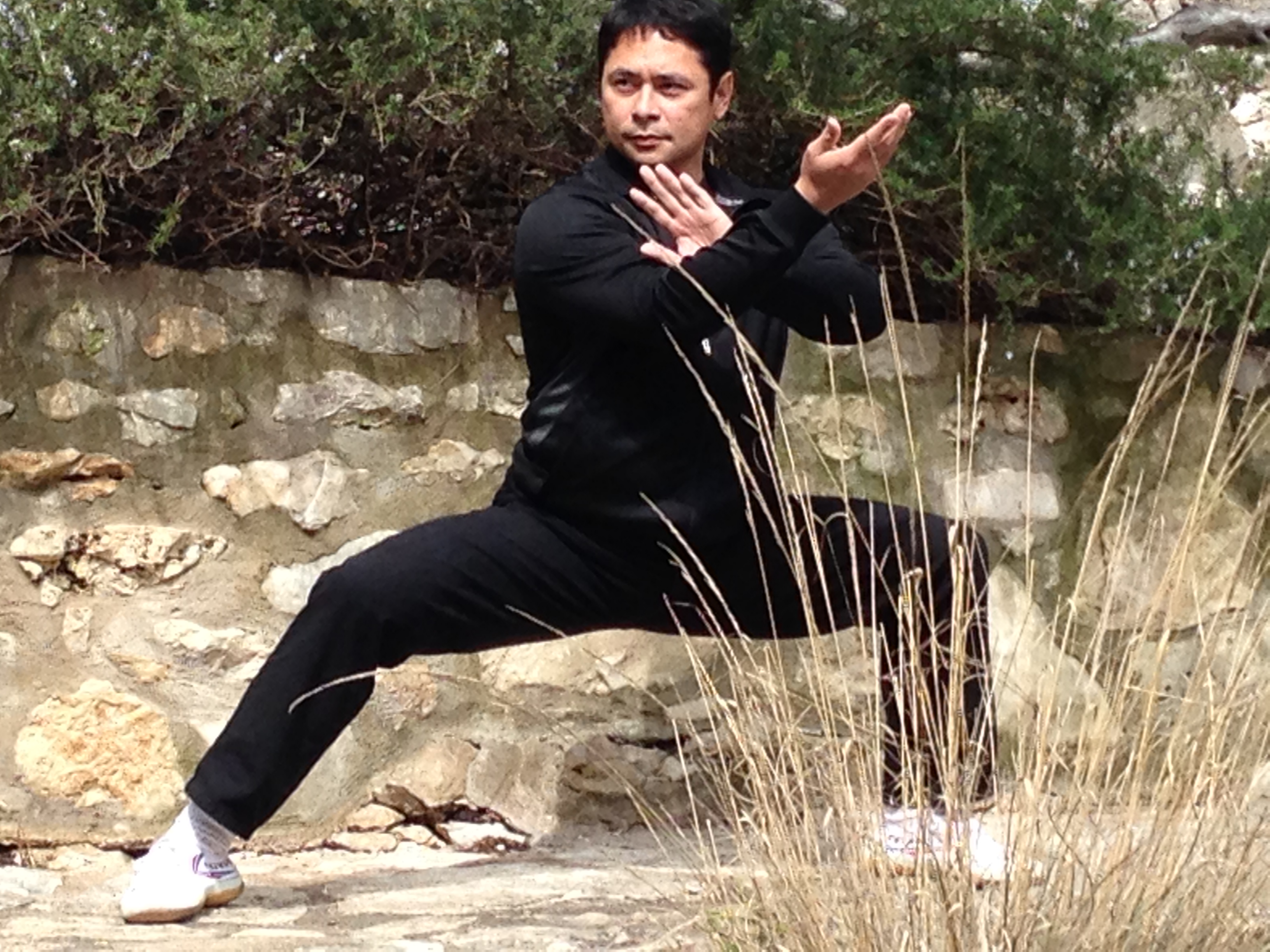 OUR CLASSES Blue Siytangco Taiji Kungfu Academy Martial Arts, Tai